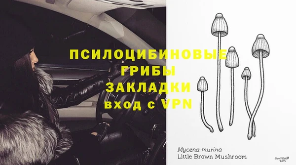 экстази Белокуриха