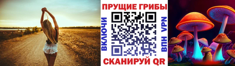 Псилоцибиновые грибы Cubensis  кракен ссылки  Печора 