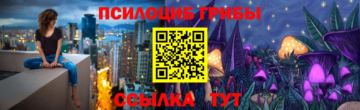 Псилоцибиновые грибы GOLDEN TEACHER  Галлюциногенные грибы GOLDEN TEACHER  Вход с VPN  Печора 