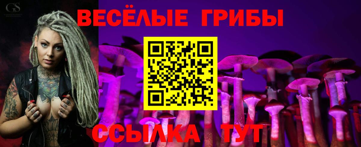 Галлюциногенные грибы мухоморы Печора